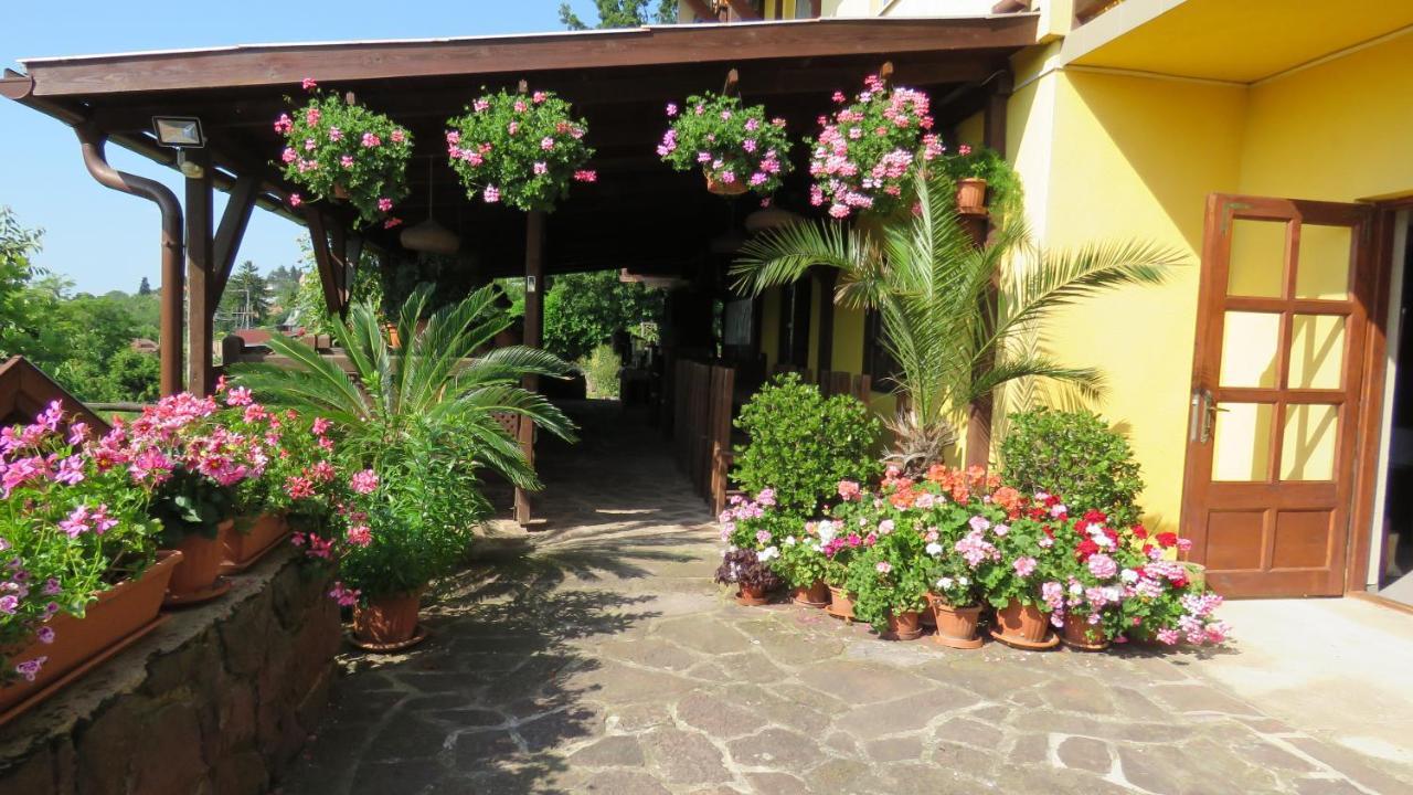 Prima Porta Vendeghaz Hotel Balatonalmádi Exterior photo